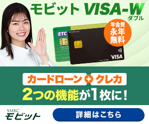 モビット VISA-W